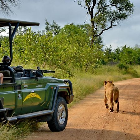 Kruger Safari Lodge Rezervace Manyeleti Exteriér fotografie