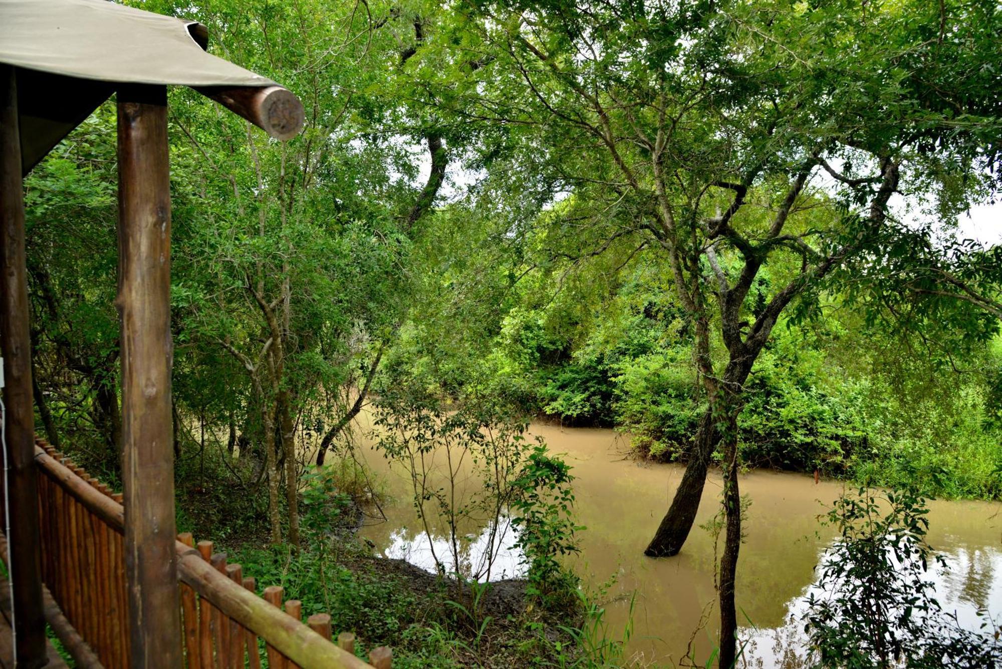 Kruger Safari Lodge Rezervace Manyeleti Exteriér fotografie