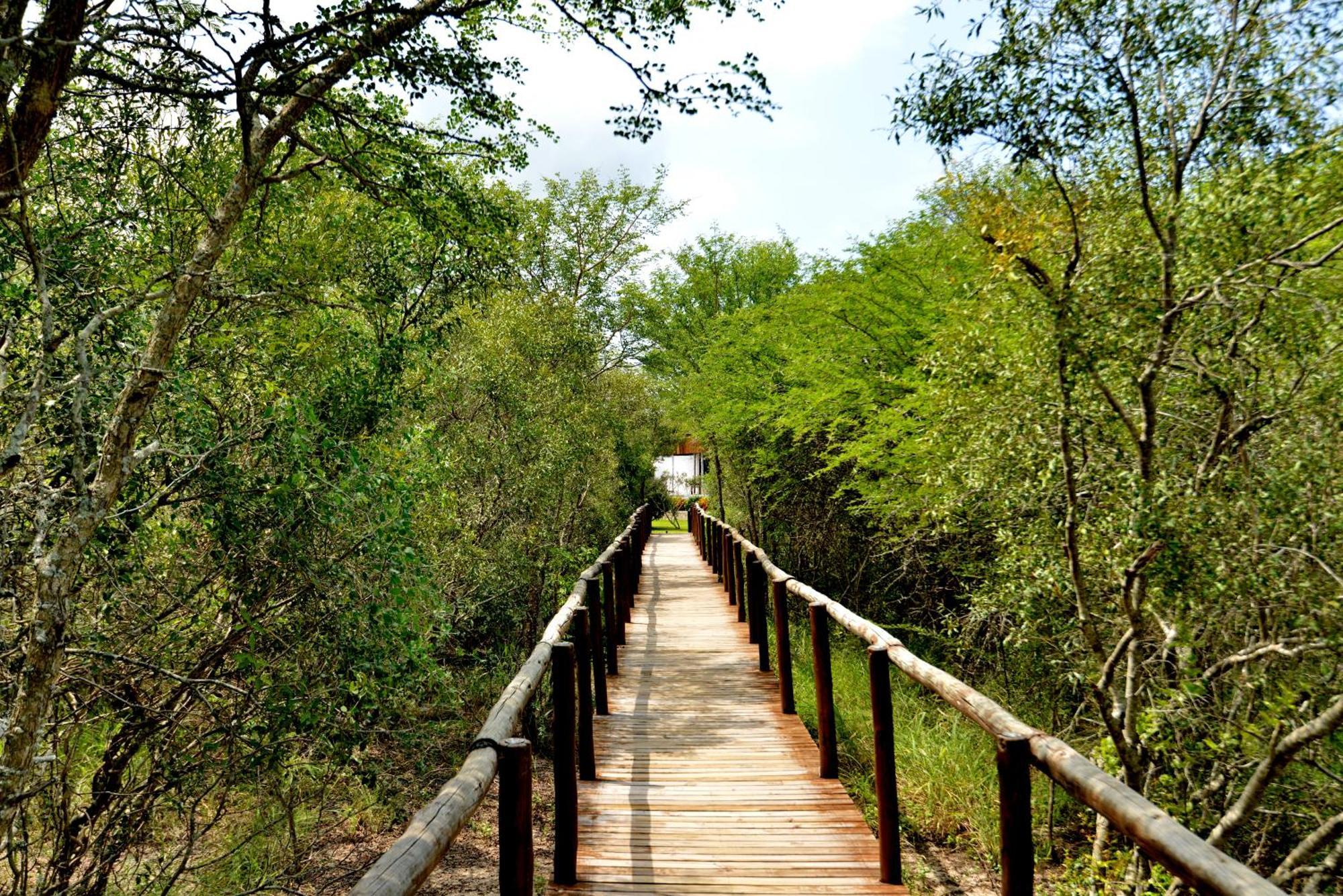 Kruger Safari Lodge Rezervace Manyeleti Exteriér fotografie