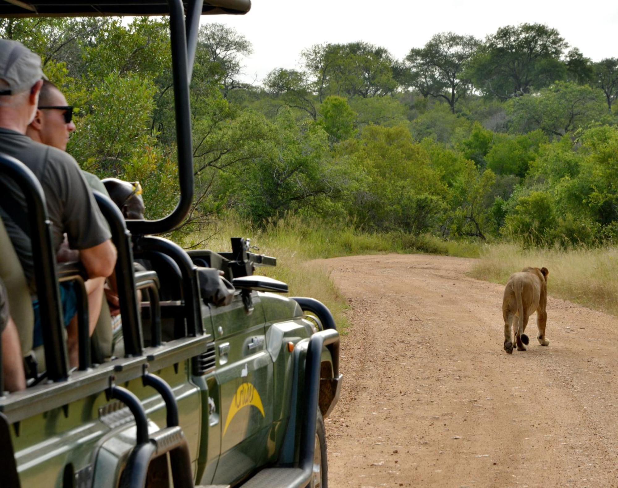 Kruger Safari Lodge Rezervace Manyeleti Exteriér fotografie